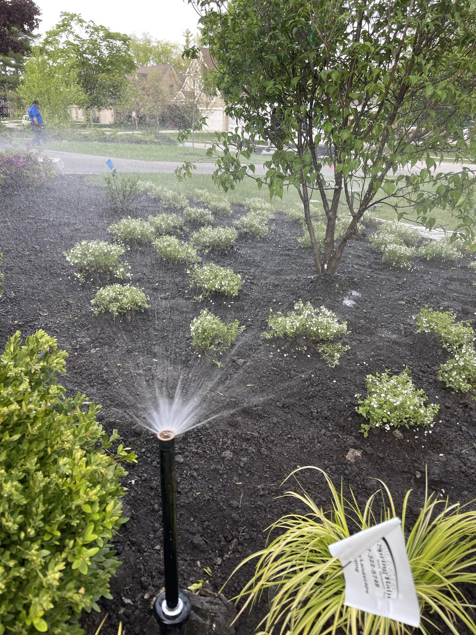 Sprinklers Flowerbed.jpg