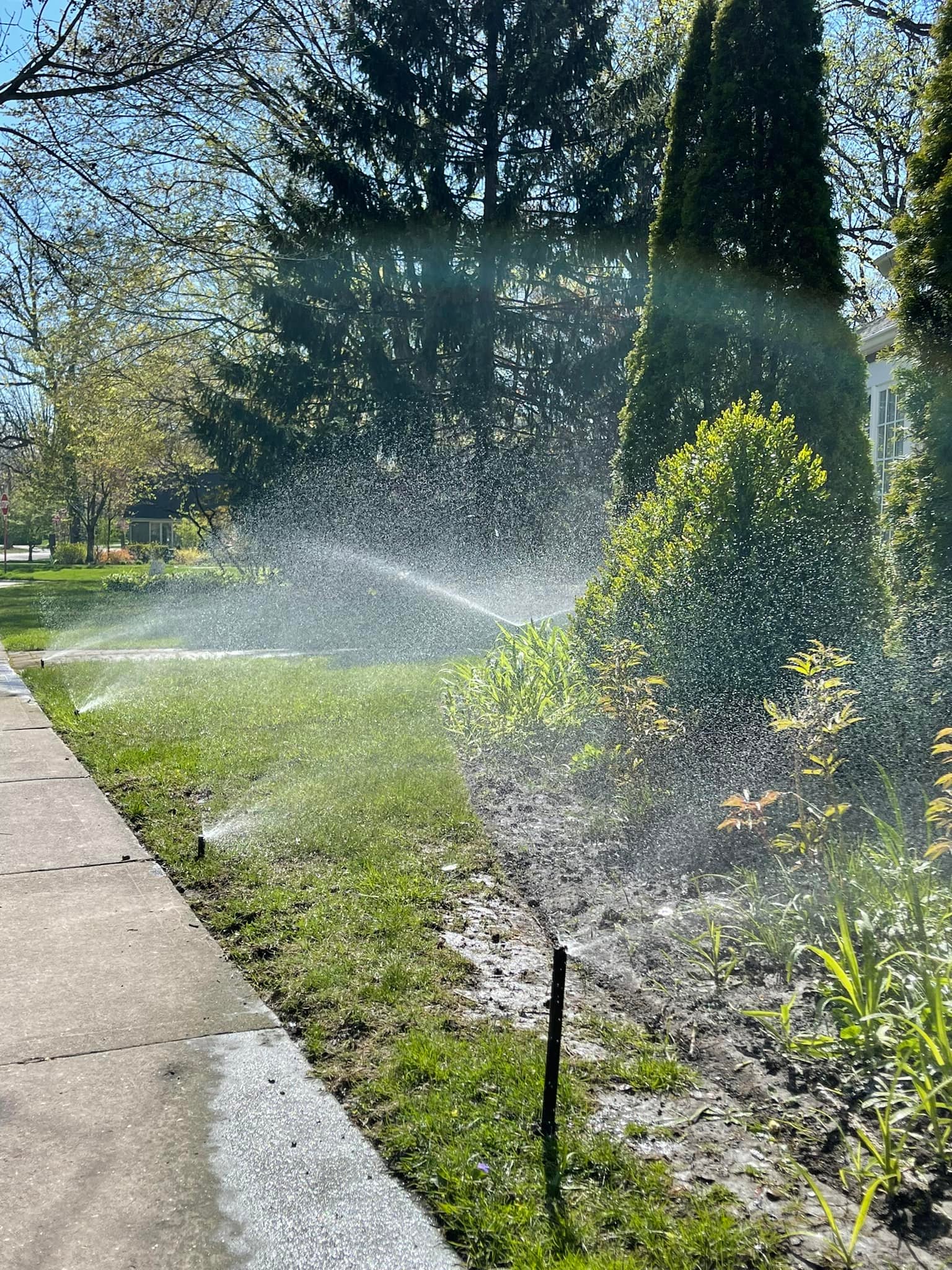 Sprinklers Flowerbed 12.jpg