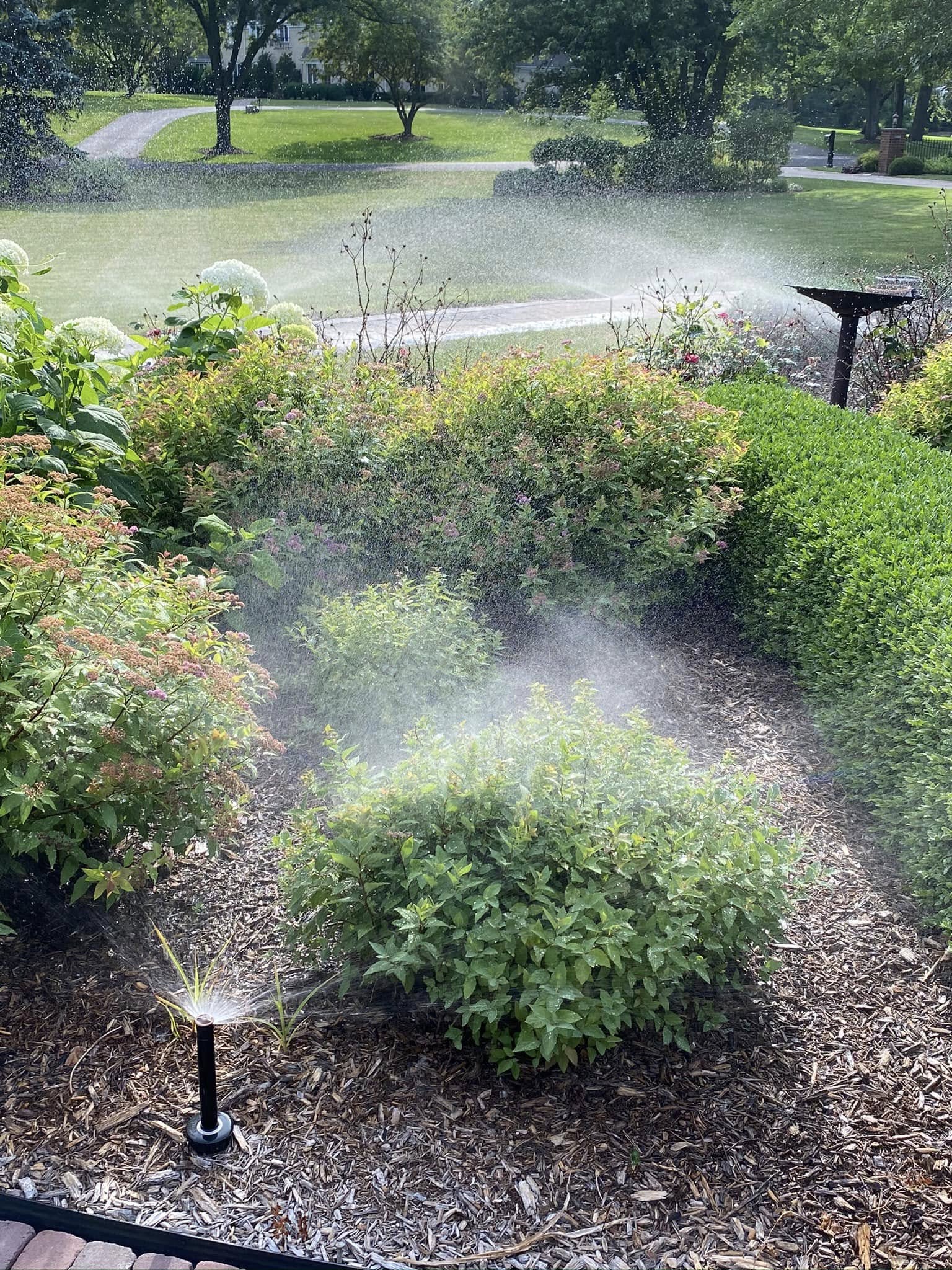 Sprinklers Flowerbed 13.jpg