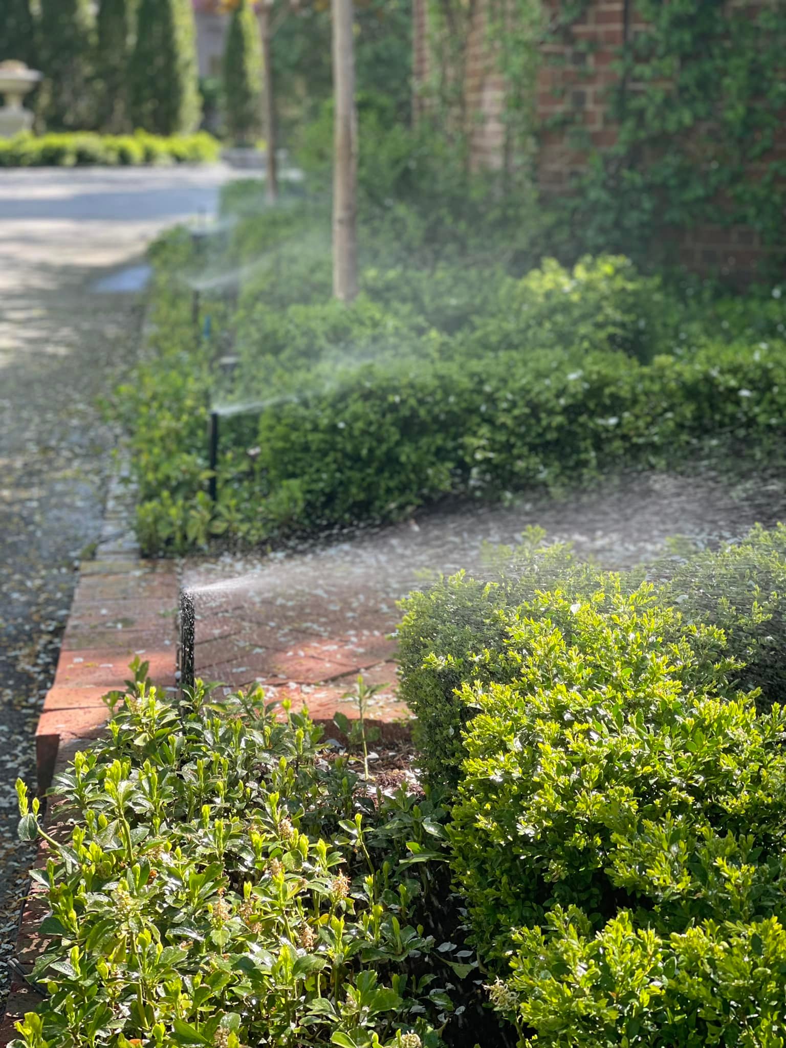 Sprinklers Flowerbed 14.jpg