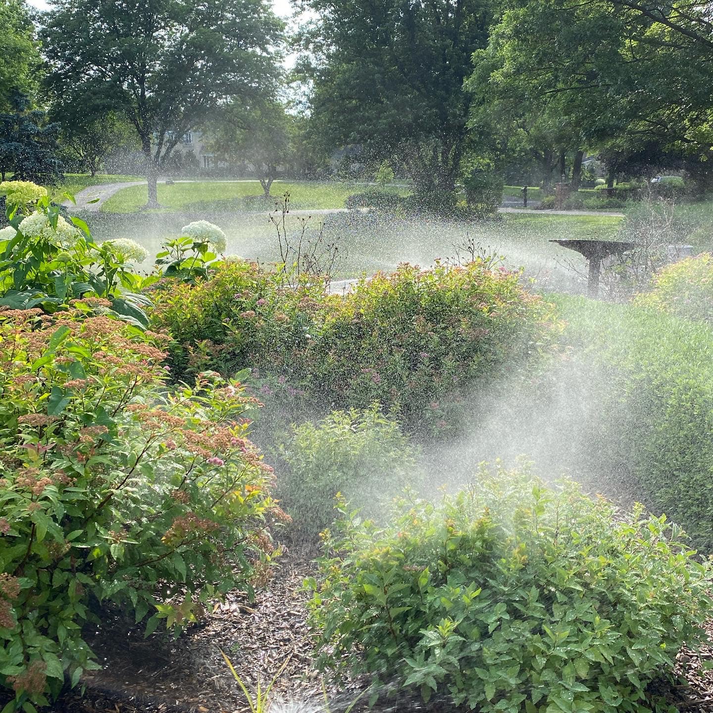Sprinklers Flowerbed 15.jpg