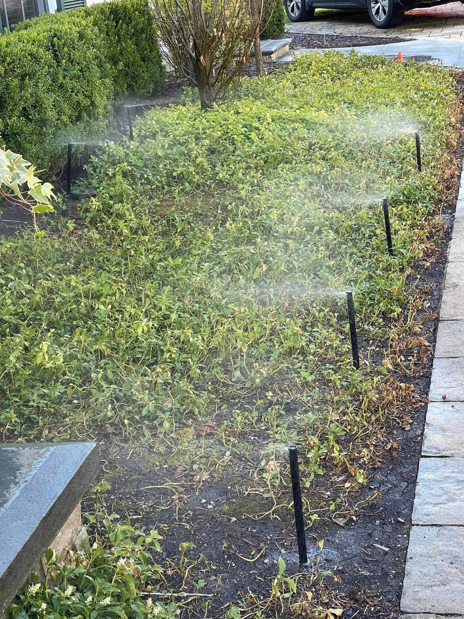 Sprinklers Flowerbed 2.jpg