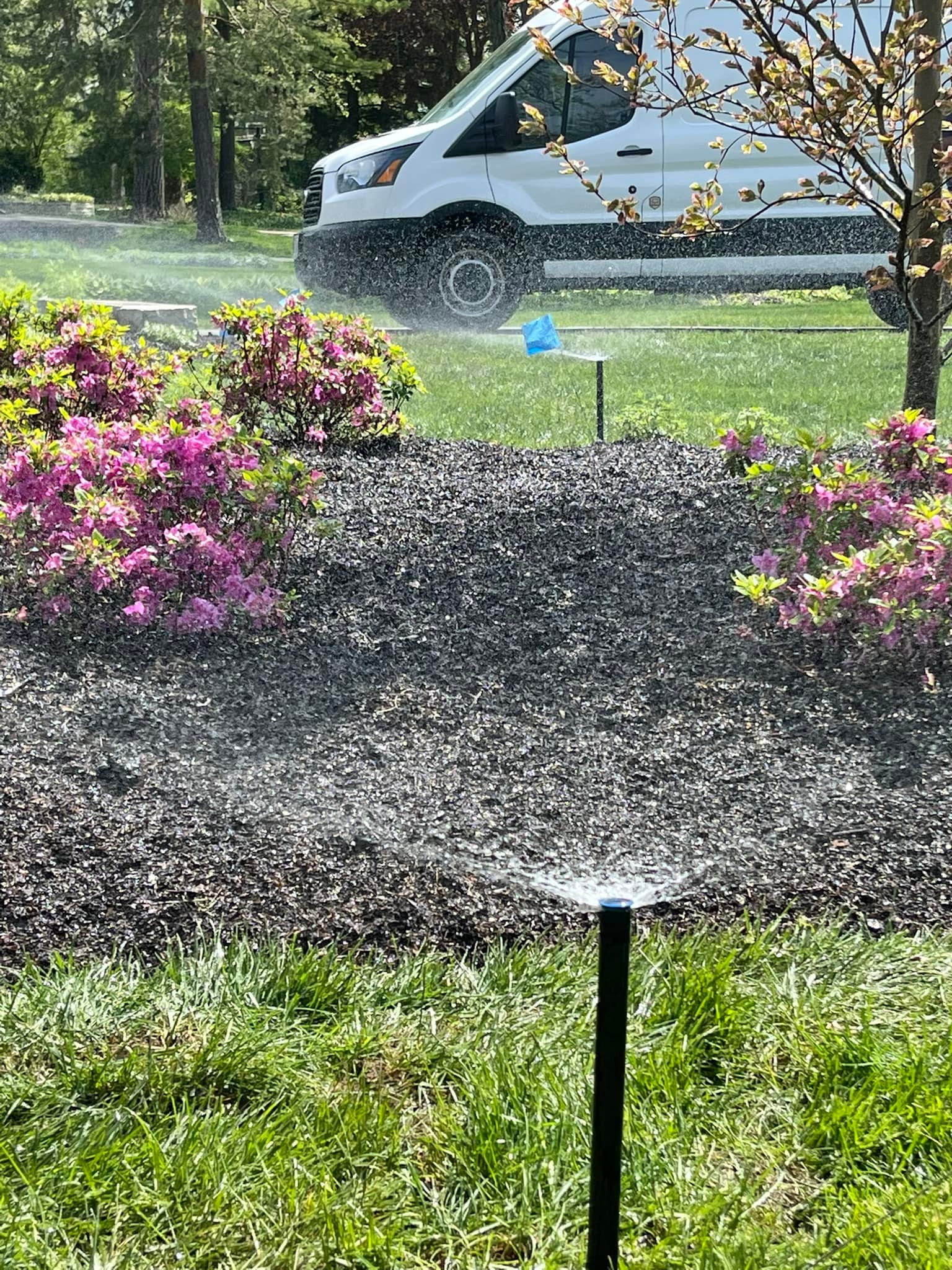 Sprinklers Flowerbed 9.jpg