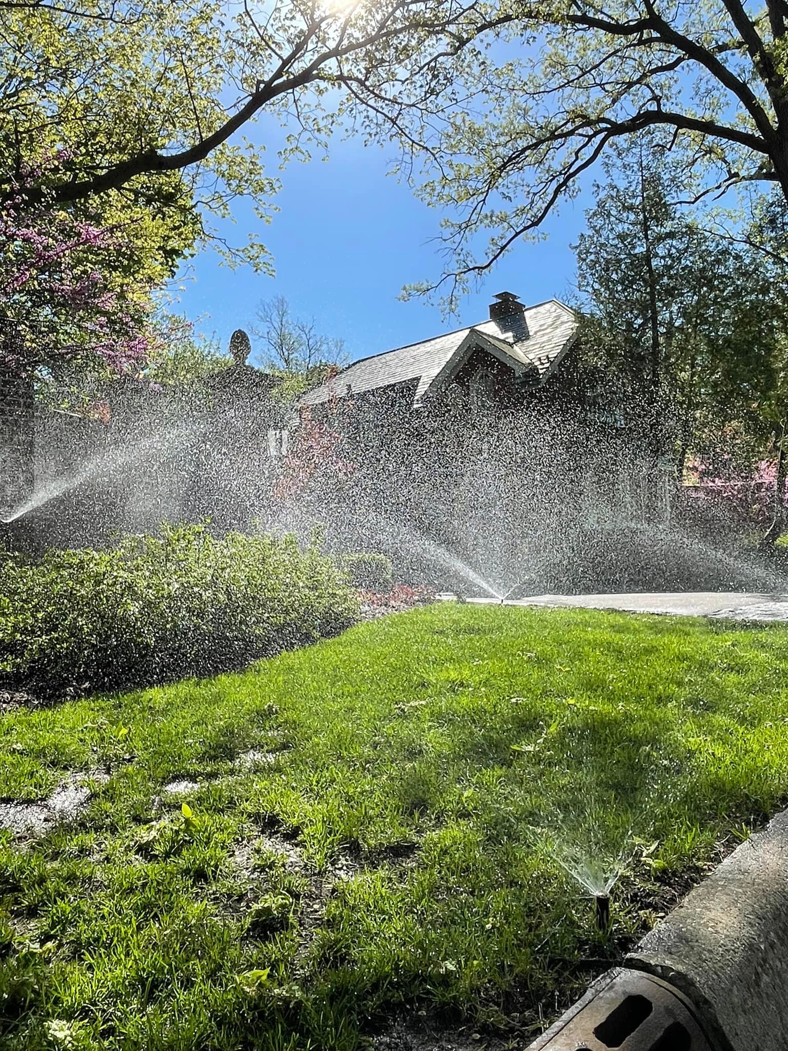 Sprinklers Lawn.jpg