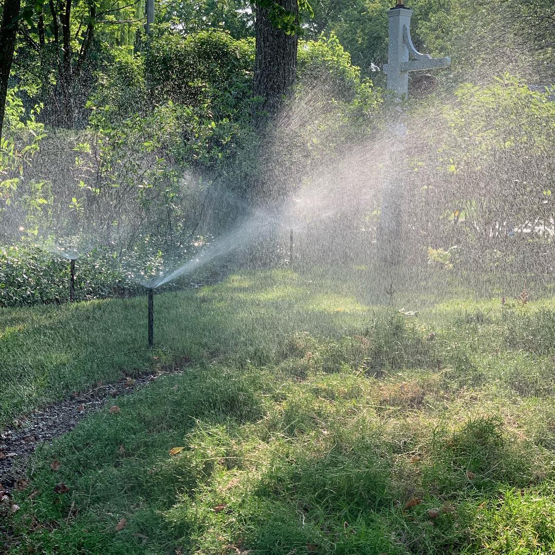 Sprinklers Lawn 3.jpg