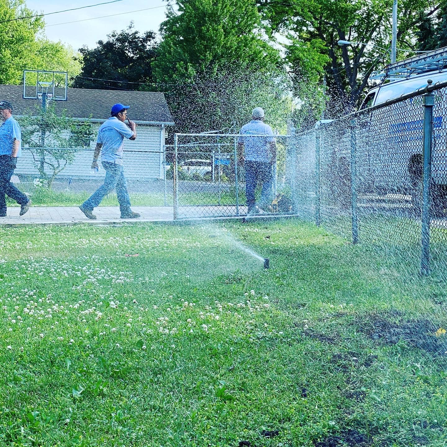 Sprinklers Lawn 4.jpg