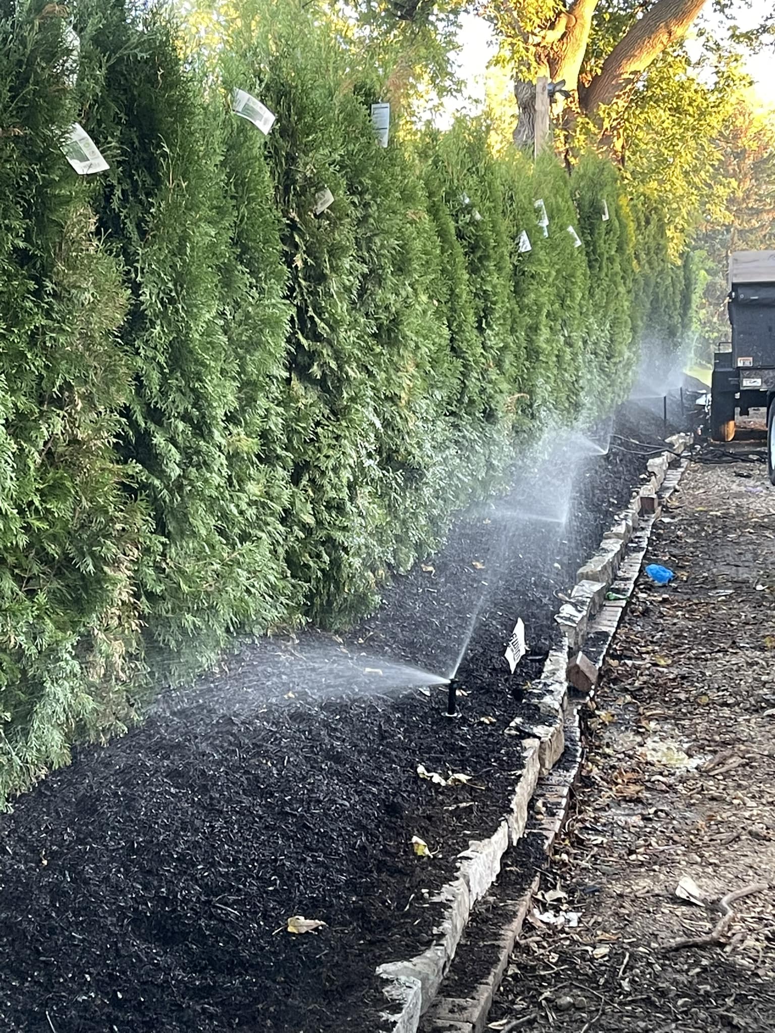 Sprinklers Trees.jpg